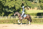 SBM_15497