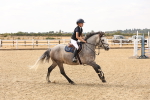 SBM_001181