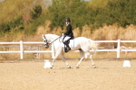 SBM_018539