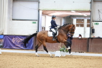 SBM_003772