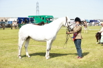 SBM_02533