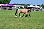 SBM_08066