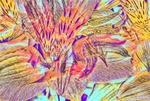 STACK_44_2