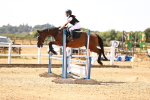 SBM_000782