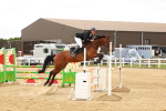 SBM_009886