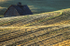 BARN -