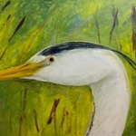 Heron