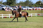 3E7A5899