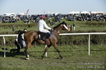 PtP 250317 428