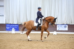 SBM_008986