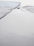 MELT - LAKE ERIE