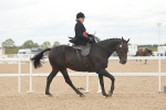 SBM_18234