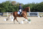 SBM_020225