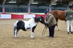 SBM_04351