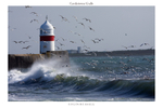 Castletown Gulls