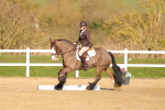 SBM_003484