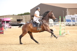 SBM_001565