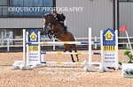 BPP_4967
