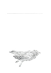 Pigeon with Line