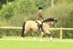 SBM_71849