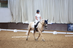 SBM_000767