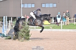 Arena Eventing Sunday 2nd - Click to View portfolio