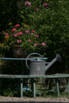 3 Watering can
