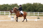 SBM_00460