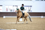 Class 12-6 - TQ Open Novice 30-MQ Open Novice 34 portfolio