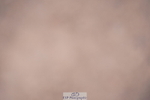 240802A-145038-05328