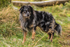 Clough Head-805
