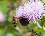 20110730-IMG_6200