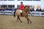 SBM_003772