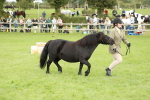 SBM_62781