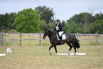 WJ6_8882
