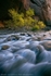 Cottonwood Alcove