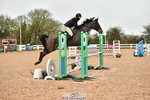 Cls 8 British Novice and 90cm Open portfolio