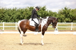 SBM_002958