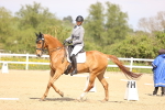 SBM_008428