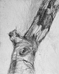 Bogland Matter 22, 16cm x 20cm