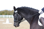 SBM_002182