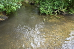 WJ7_9033