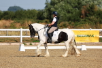 SBM_008433