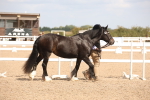 SBM_04522