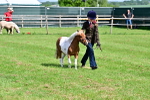 SBM_03458