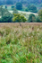 Little Langdales 2