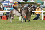 JPP_0350