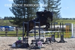 BPP_3156
