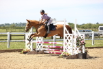 SBM_003851