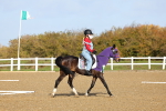 SBM_000497